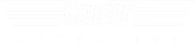 Logo Detective Condor GmbH